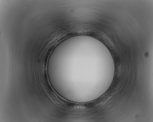 X0000096140644200801180853