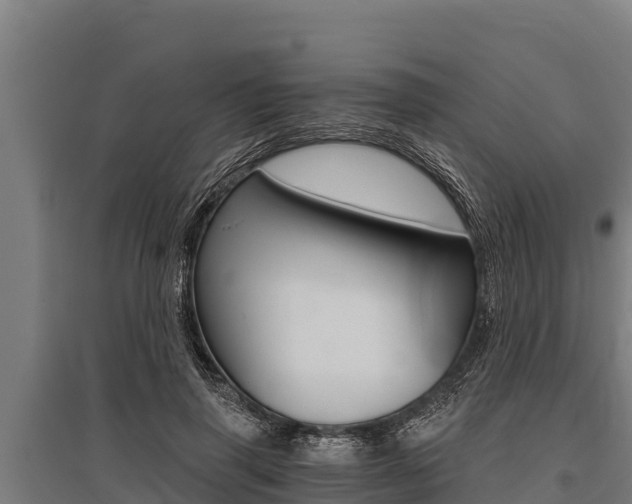 X0000096140645200801180853