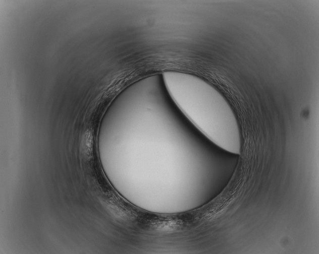 X0000096140646200801180853