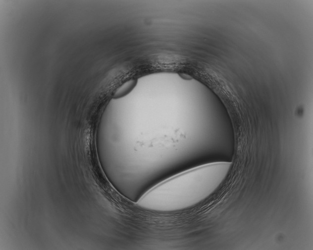 X0000096140647200801180853