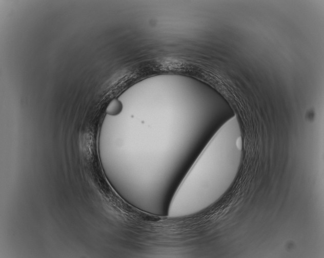 X0000096140648200801180853