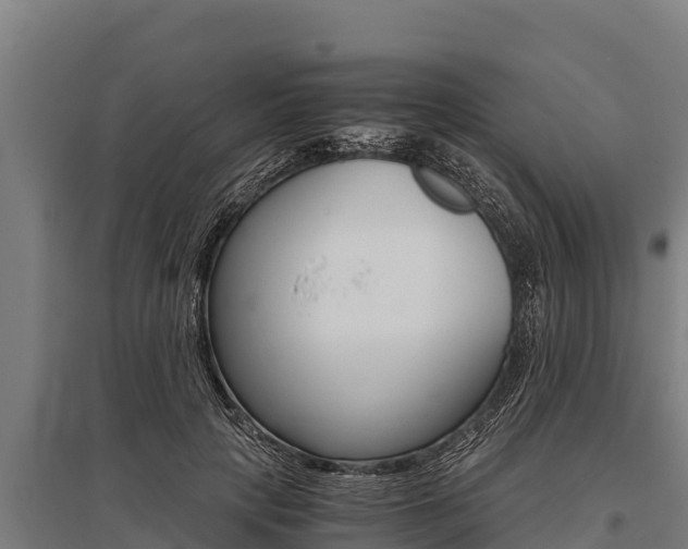 X0000096140649200801180853