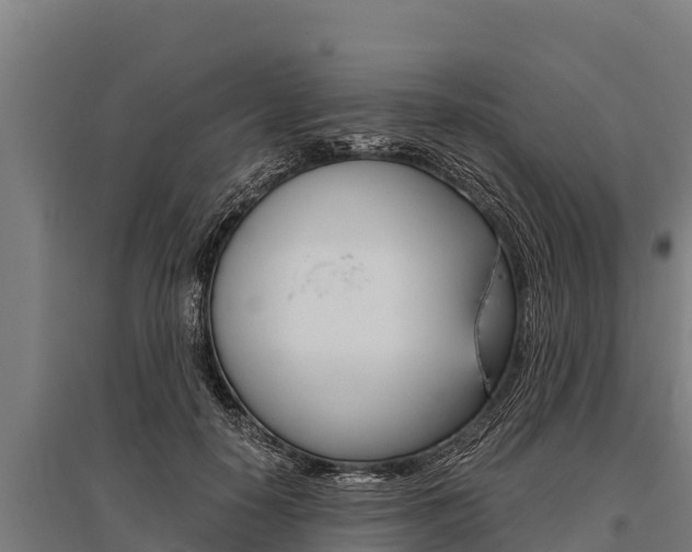 X0000096140650200801180853