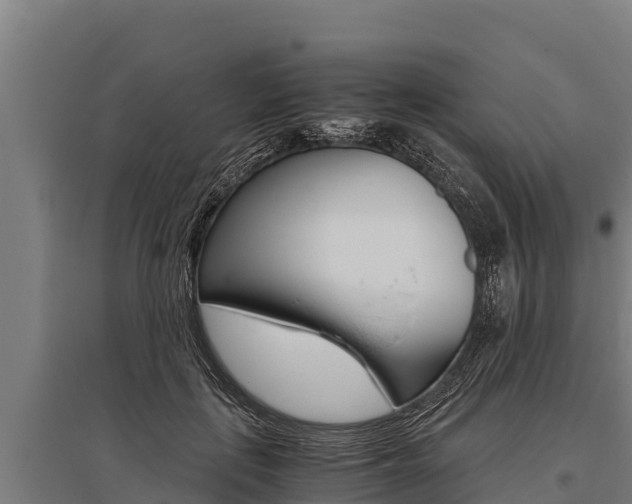 X0000096140651200801180853