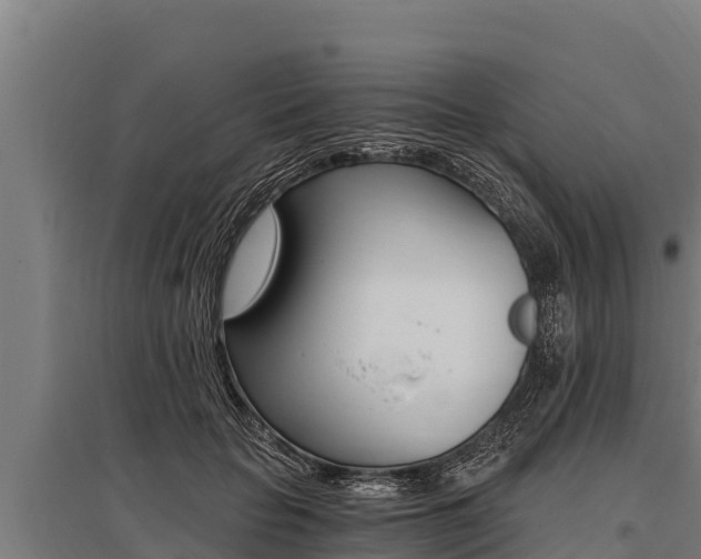 X0000096140653200801180853