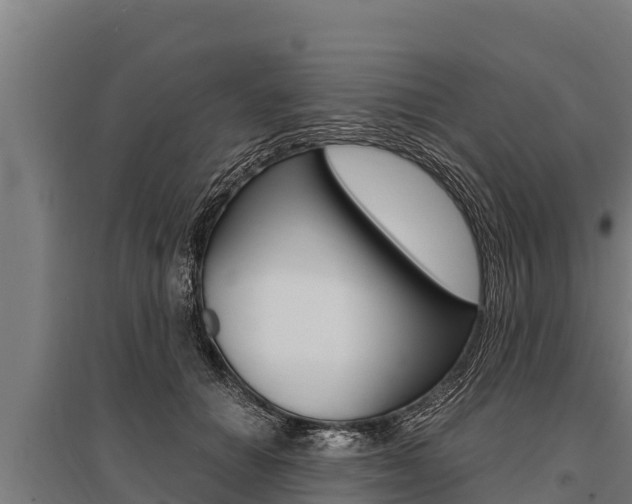 X0000096140654200801180853