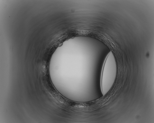 X0000096140655200801180853