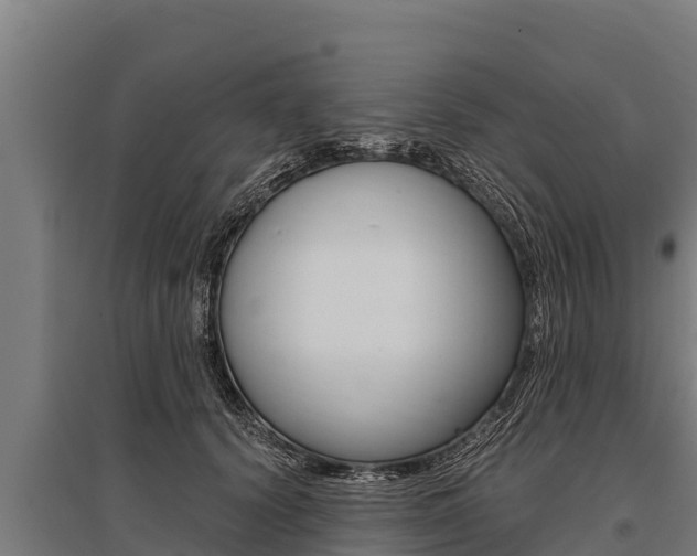 X0000096140656200801180853