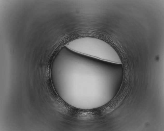 X0000096140657200801180853