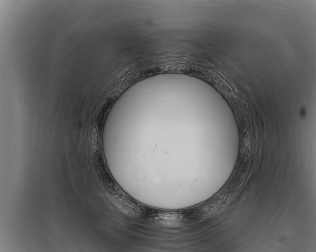 X0000096140659200801180853