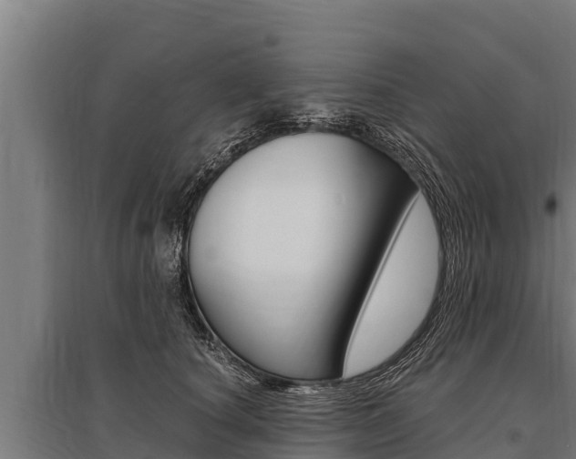 X0000096140660200801180853