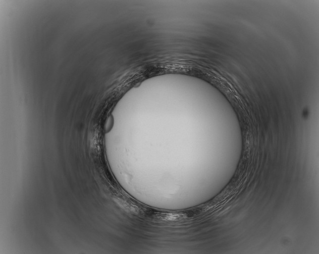 X0000096140663200801180853