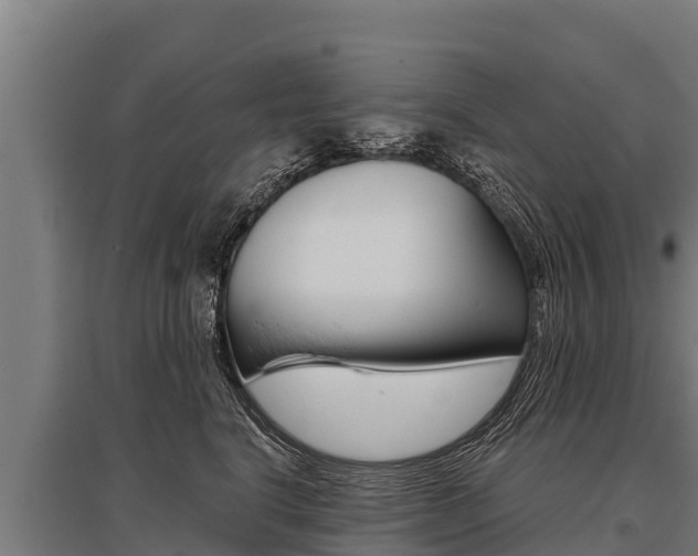X0000096140664200801180853