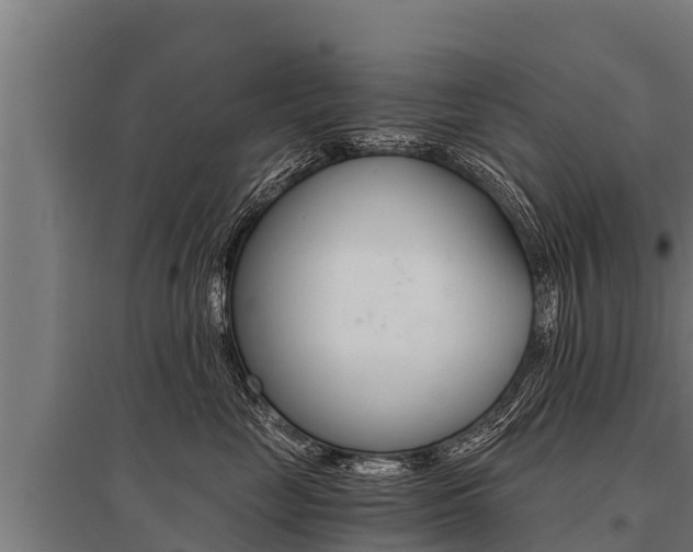 X0000096140669200801180853