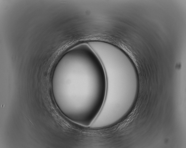 X0000096140673200801180852