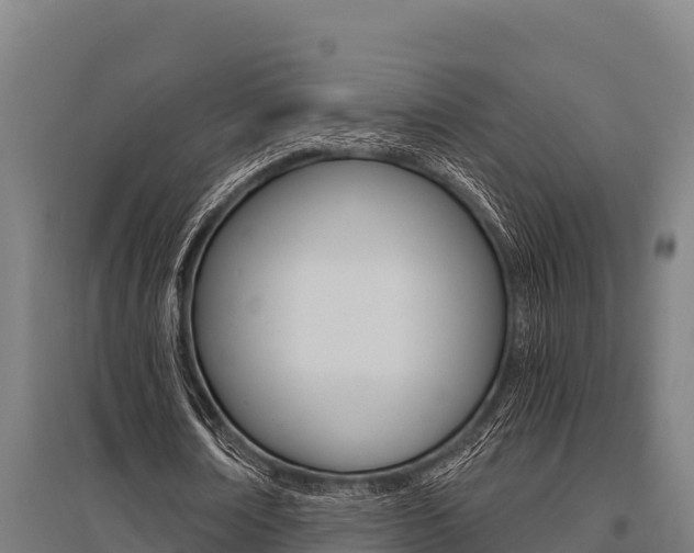 X0000096140674200801180852