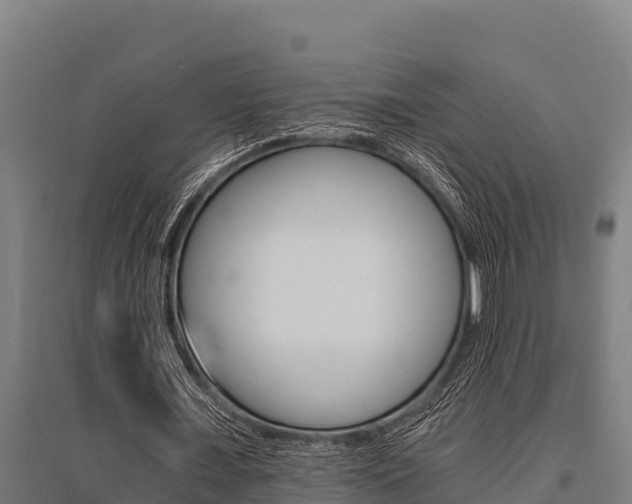 X0000096140675200801180852