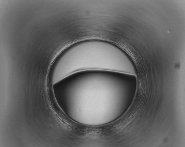 X0000096140676200801180852