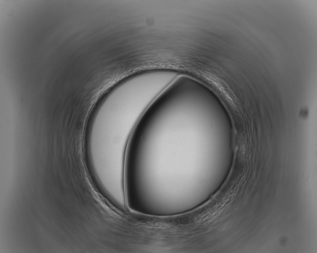 X0000096140677200801180852