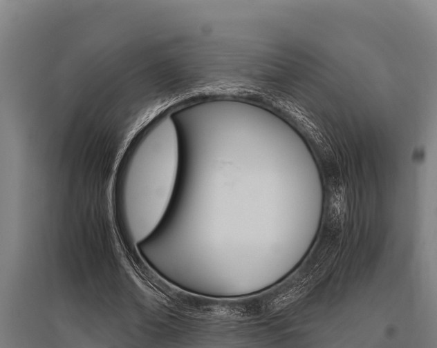 X0000096140678200801180852