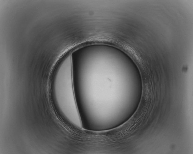 X0000096140680200801180852