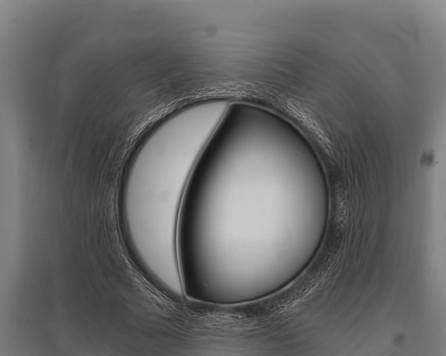 X0000096140681200801180852