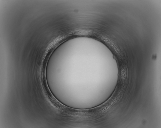 X0000096140682200801180852