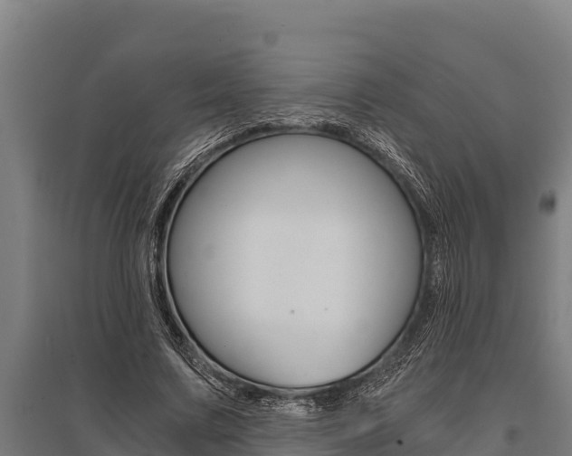 X0000096140683200801180852