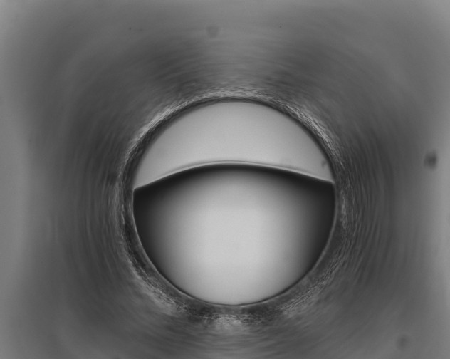 X0000096140684200801180852
