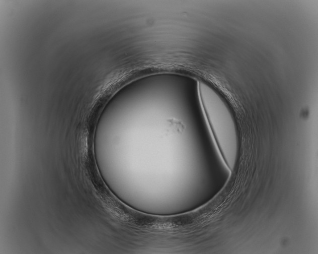 X0000096140685200801180852