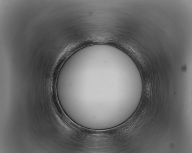 X0000096140686200801180852