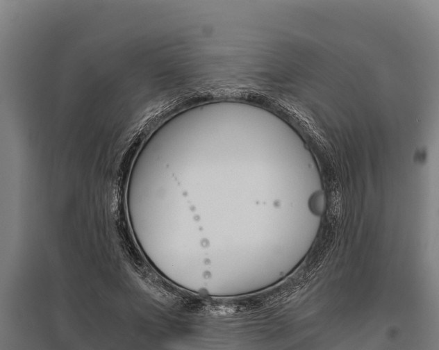 X0000096140687200801180852