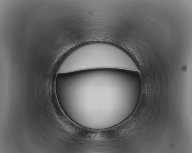 X0000096140688200801180852