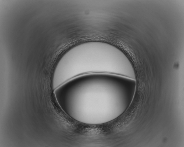 X0000096140689200801180852