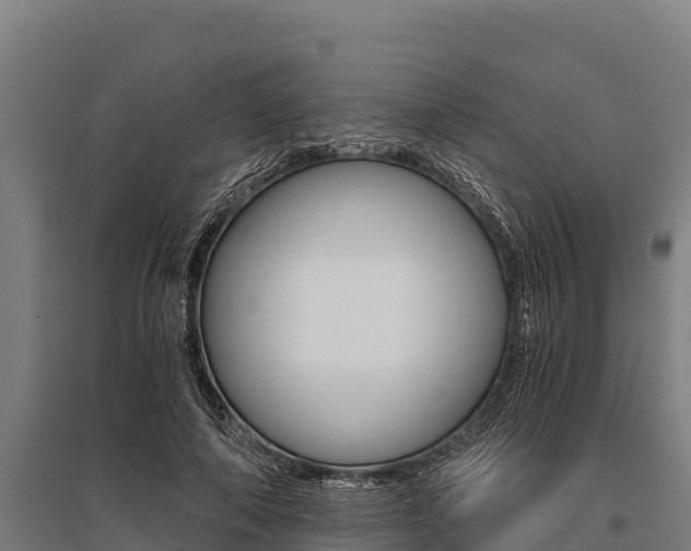 X0000096140690200801180852