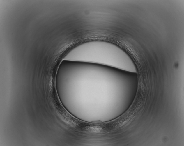 X0000096140692200801180852