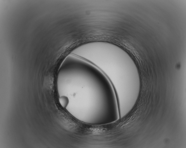 X0000096140693200801180852