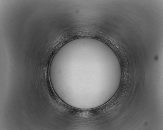 X0000096140695200801180852