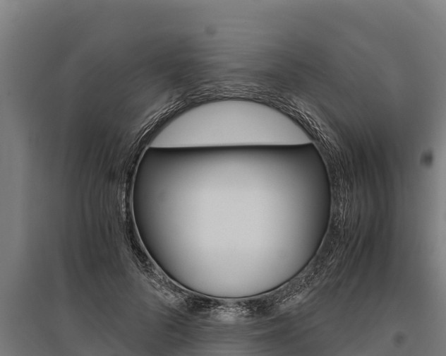 X0000096140696200801180852