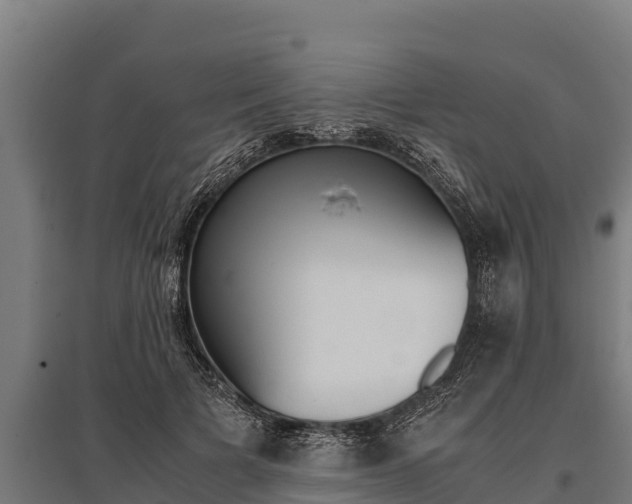 X0000096140697200801180852