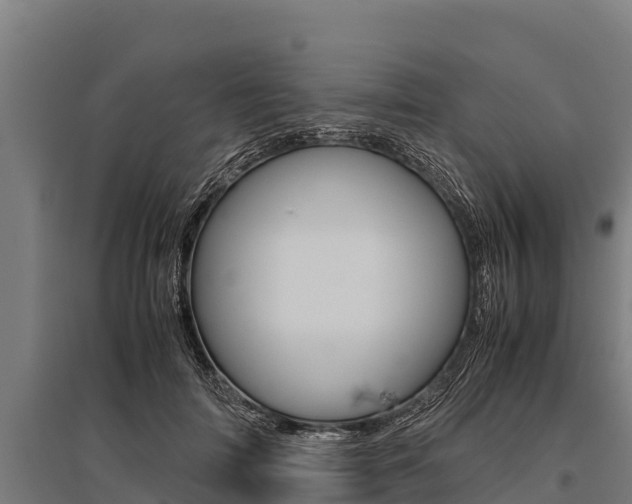 X0000096140698200801180852