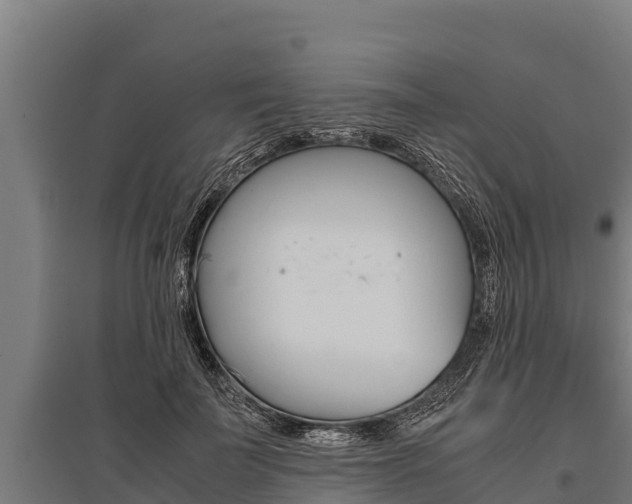 X0000096140699200801180852