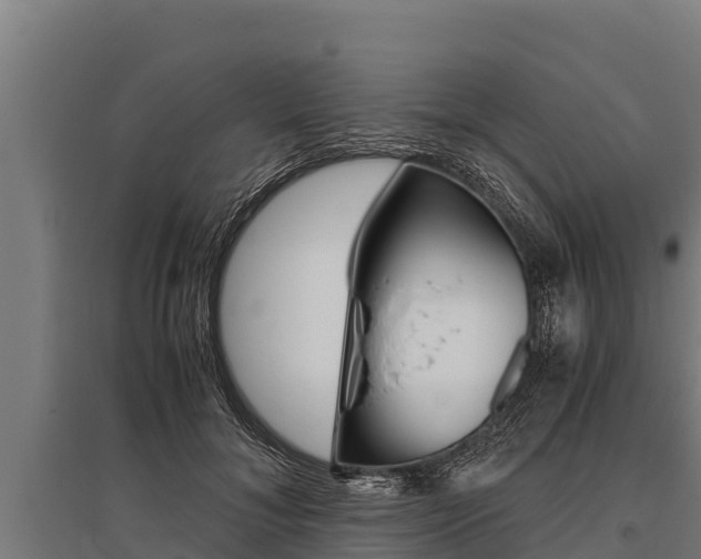 X0000096140700200801180852