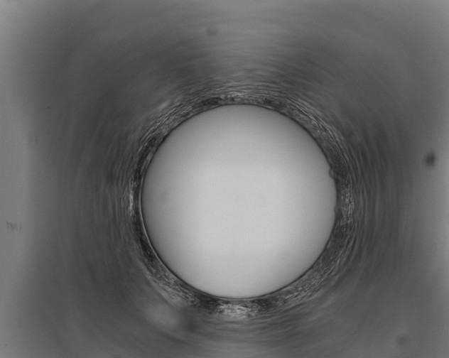 X0000096140703200801180852