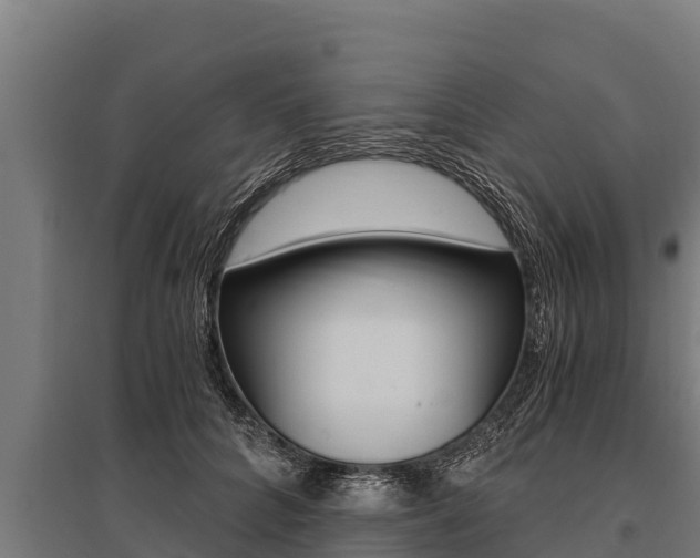 X0000096140704200801180852
