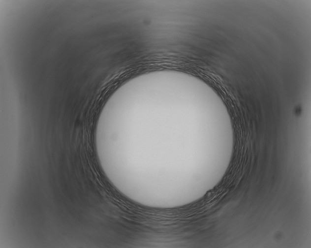 X0000096140705200801180852
