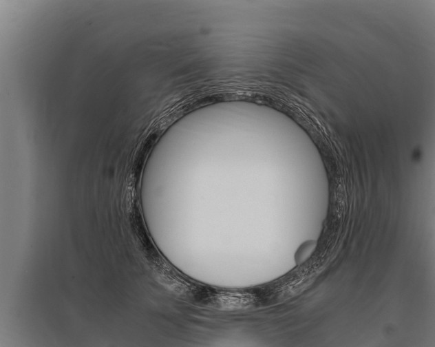 X0000096140707200801180852