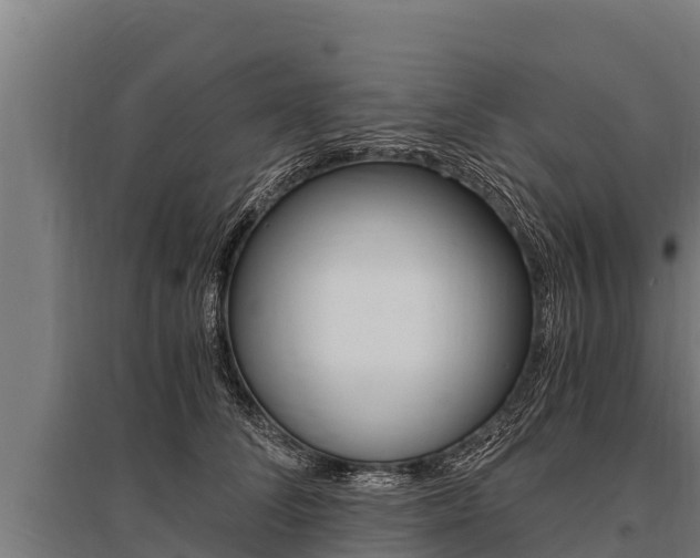 X0000096140708200801180852
