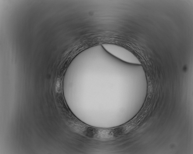 X0000096140709200801180852