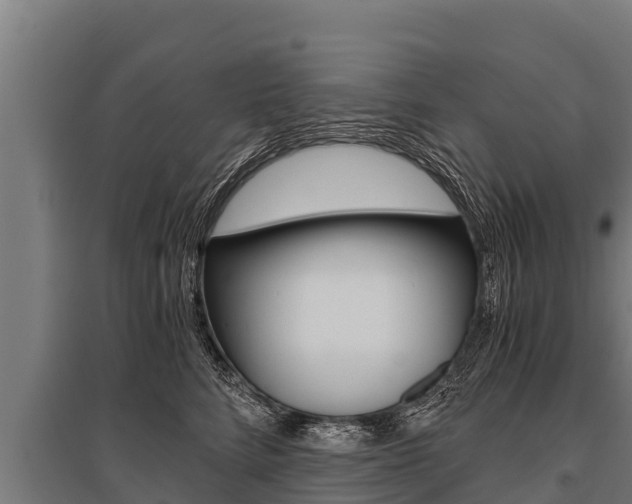 X0000096140712200801180852